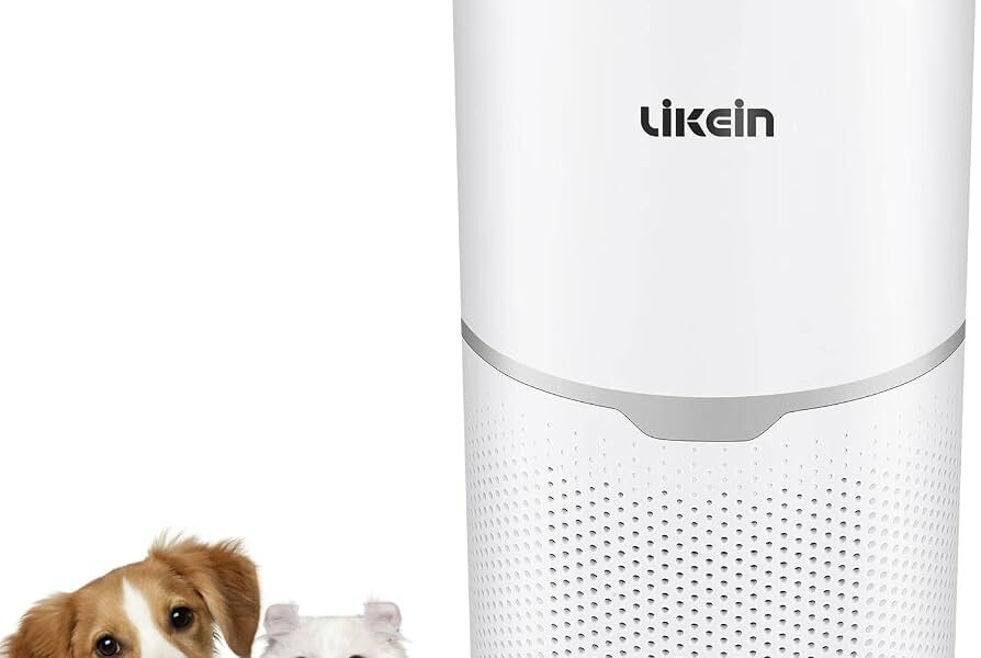 best pet air filters to remove dander hair and odors at home 1