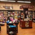 how to find the best pet accessories store near you 1