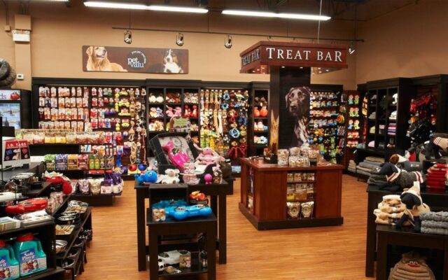 How to Find the Best Pet Accessories Store Near You 10 how to find the best pet accessories store near you 1