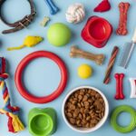 how to source pet accessories wholesale a complete guide 1