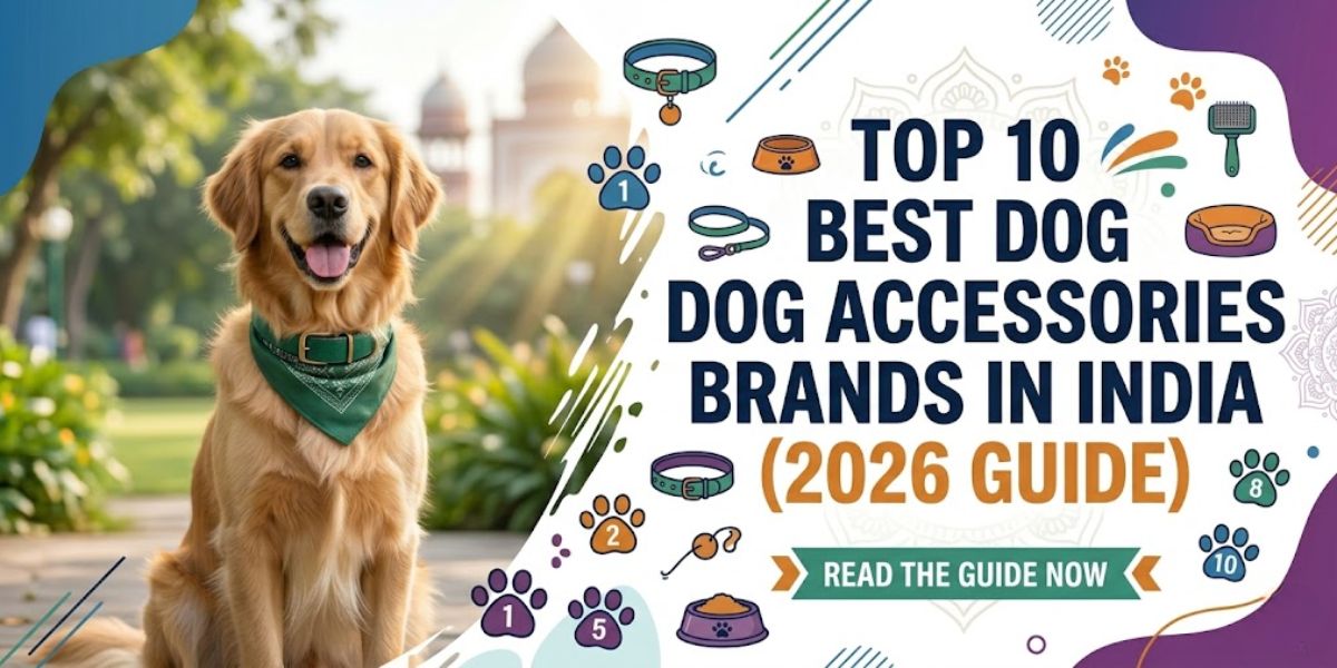 Top 10 Pet Accessories Manufacturers in India (2025 List) 6 top 10 pet accessories manufacturers in india 2025 list 1