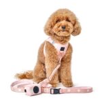 top pet accessories australia must have picks for 2025 1